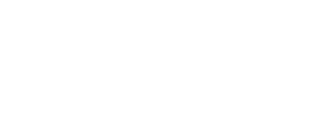 Velodome Logo Footer